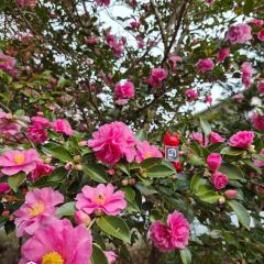 ist villa 07 Hilltop Lookout Sleeps 7