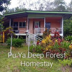 Pu Ya Deep Forest Homestay