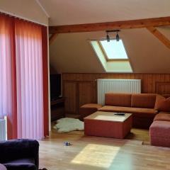 Erdőalja - Padlástér