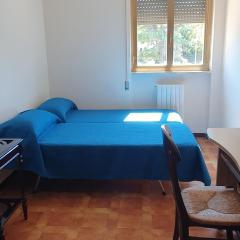 Cozy Apartment in Town