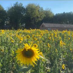 2 Bed in Clipston oc-o34219