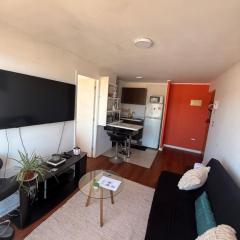 Vista Panorámica gran Concepción