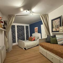 Charming apartment in the heart of Colmar