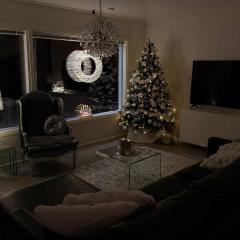 Arctic Riverside home