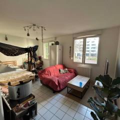 Appart lumineux Croix Rousse