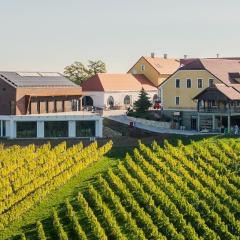 Wine & boutique hotel Terbotz