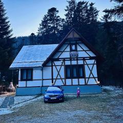 Vila Zdenka, Tatranská Kotlina 7, pohodlný objekt v lesoparku v Tatrách