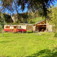 Roulotte Le gîte-ânes