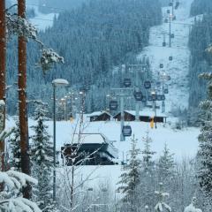 Trysil turistesenter hytte