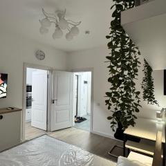 Comfortable Apartment in Tashkent