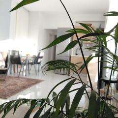 S&M Cozy Garden Lagonisi