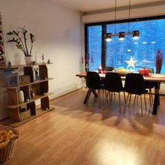 A cosy and family oriented apartment in Rovaniemi