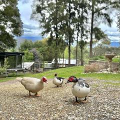 Coral Fern Farm Stay