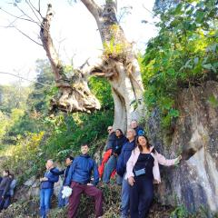 DongVan Panorama Ancient Homestay 1925