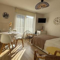 Grand studio lumineux avec balcon et WiFi, résidence avec piscine - FR-1-555-122