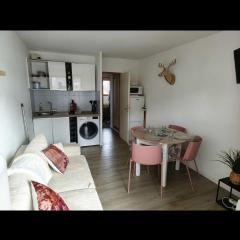 Vue sur la montagne au cœur des pistes