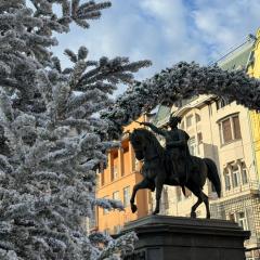 Cosy-Zagreb Center-Apartman Medo-Two Bathrooms