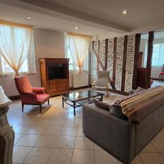 Grand Appart - centre ville - thermes - aquensis - parking privé