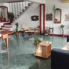 Woodpecker Backpacker Hostel