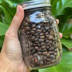 The Village Eco-Bungalows in Salvacion, Busuanga