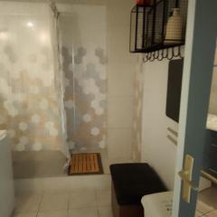 Vielle-aure le 2bers 90 M2 avec mezzanine et linge inclu