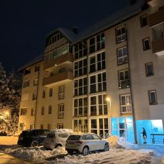 Apartman Veličković