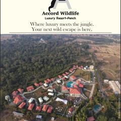 Accord Wildlife Pench