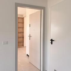 Express Apartments and Penthouse Suceava