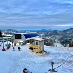 Starbrook Slopesider