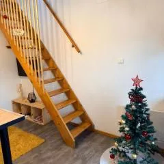 Superbe studio à proximité du centre-ville