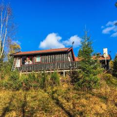 4 Bedroom Nice Home In Trysil