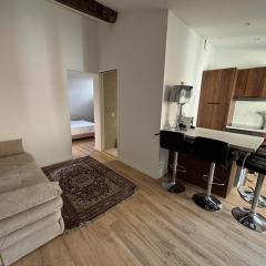 T2 traboule center of old Lyon