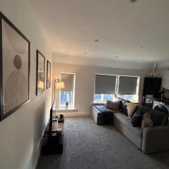 Professional & central flat, free parking