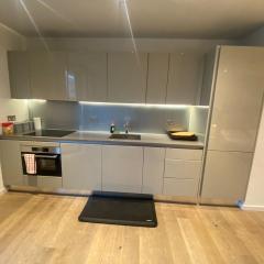 Entire Studio Apartment in Central London SE1