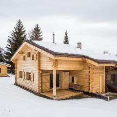 Beautiful Old style 12 person Chalet with a modern extension