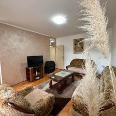 Family-style apartment in Podgorica