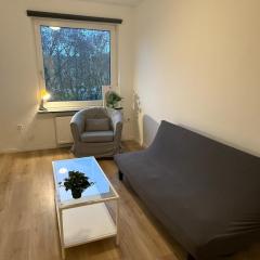 Simple bright 3-room apartment with balcony