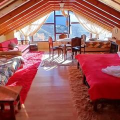 Ξενώνας ΔΡΟΣΟΣΤΑΛΙΑ Some of Attic