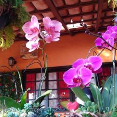 Chalé da Elba 01 Ilhabela