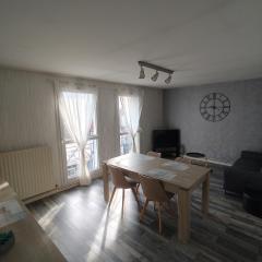 LENS, Bel appartement lumineux spacieux en centre ville 3 chambres