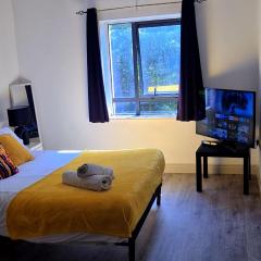 Entire 2bed apartment