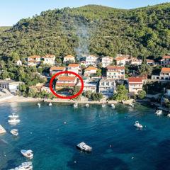 Apartments by the sea Brna, Korcula - 9162