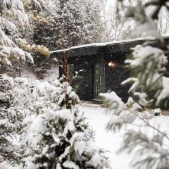 Cozy Luxury Cabin w Hot Tub, Fire Pit, King Bed