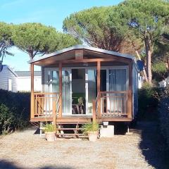 Mobil Home 4 Pers avec Terrasse à Roquebrune-sur-Argens - API-1-52-911