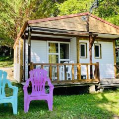 Chalet avec Terrasse à Camon - API-1-52-902