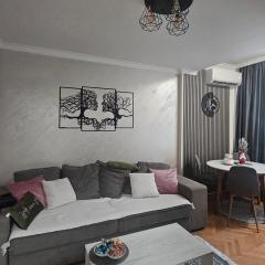 Stan na dan Bijeljina centar