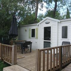 Mobil-home 3 pièces avec terrasse à Roquebrune-sur-Argens - API-1-52-1016
