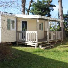 Mobil-home confortable avec terrasse pour 4 personnes à Tréguennec - API-1-52-1029