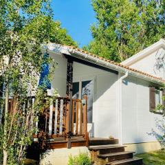 Chalet 8 pers avec Terrasse - API-1-52-1027