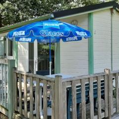 Chalet de 28m² pour 4 personnes avec terrasse - API-1-52-1035